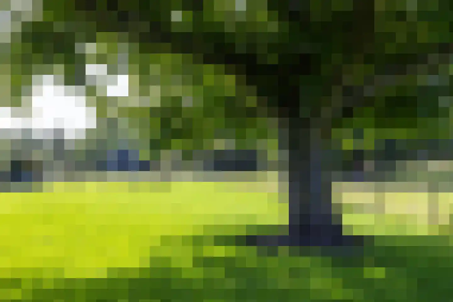 Koningslaan 7 Bunnik thumbnail 8