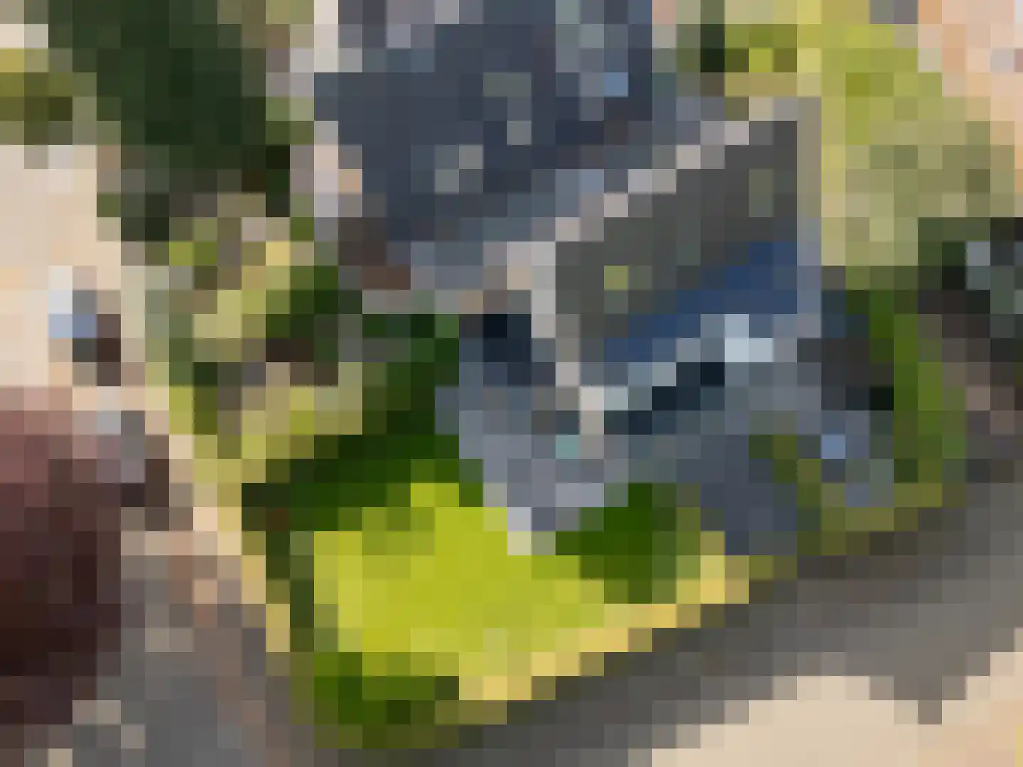Koningslaan 7 Bussum thumbnail 20