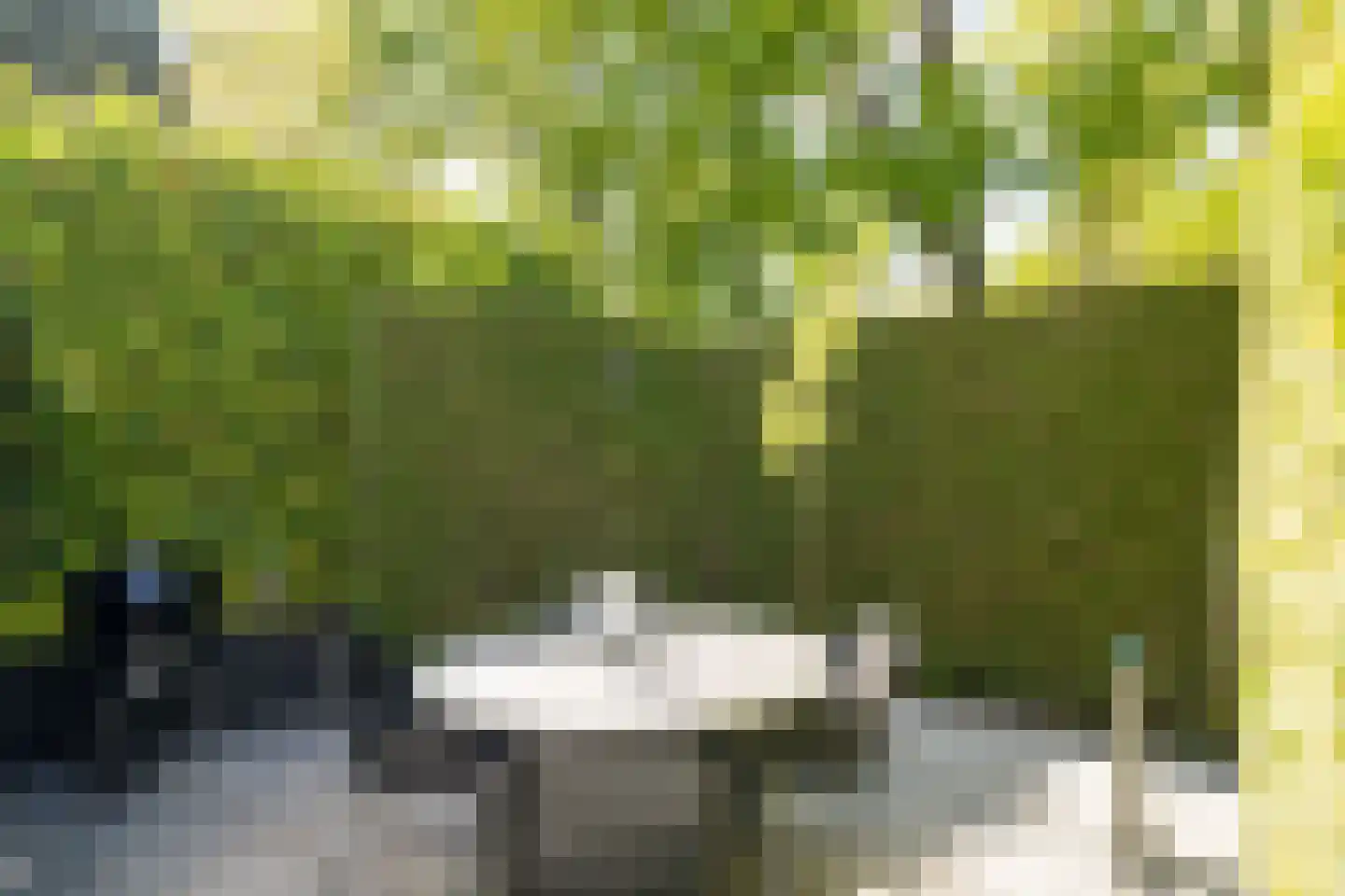 Koningslaan 7 Bussum thumbnail 25
