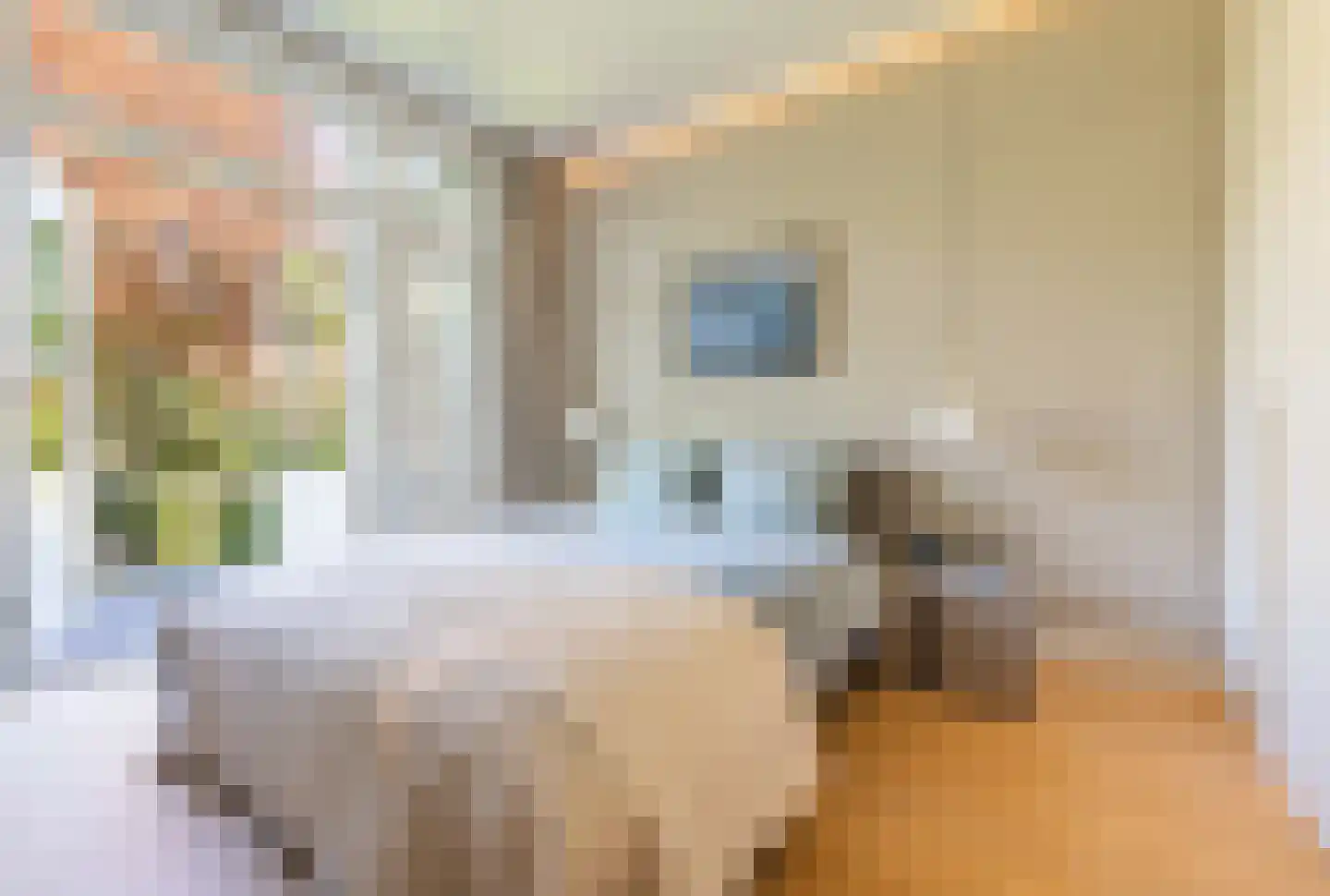 Koningslaan 7 Bussum thumbnail 39
