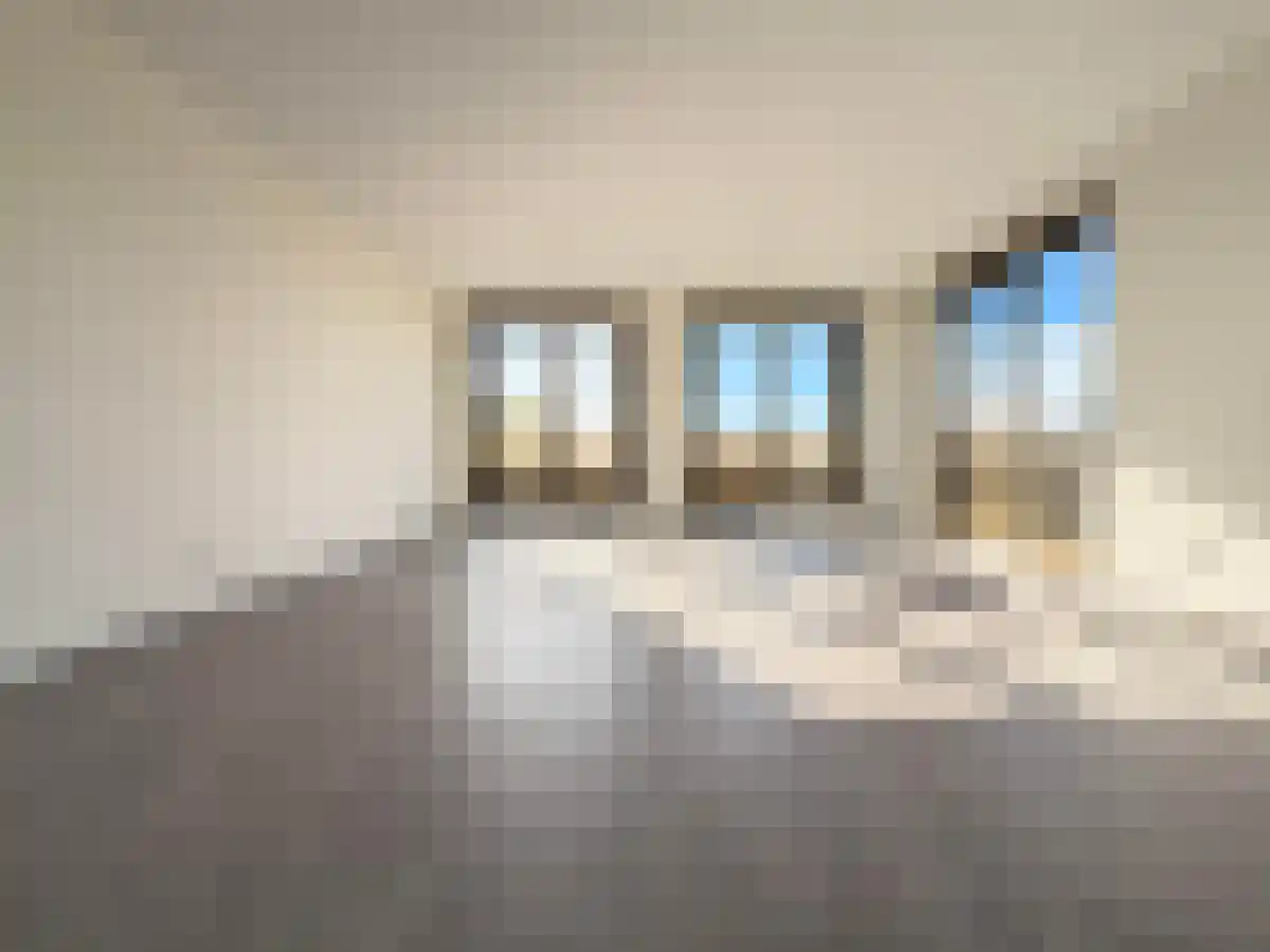 Koningslaan 7 Rotterdam thumbnail 4