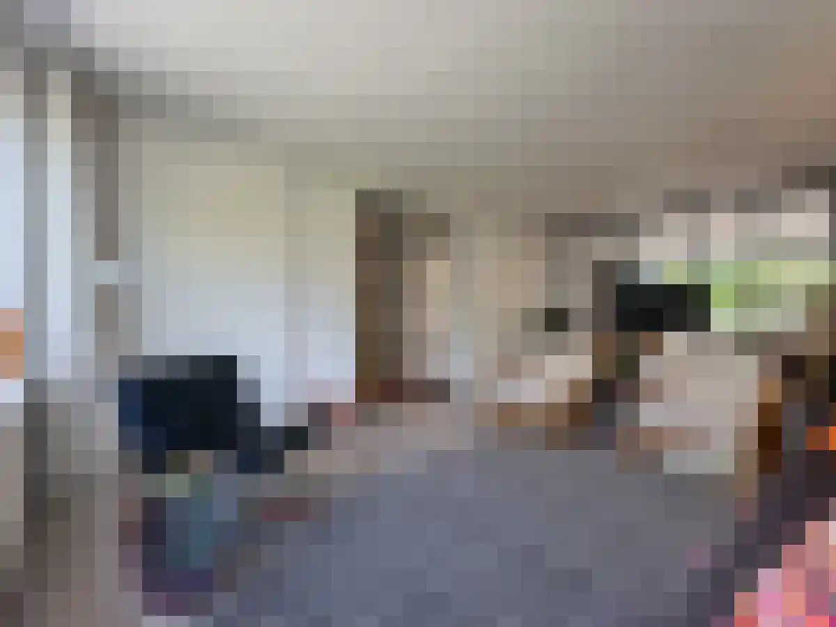 Koningslaan 97 Utrecht thumbnail 4
