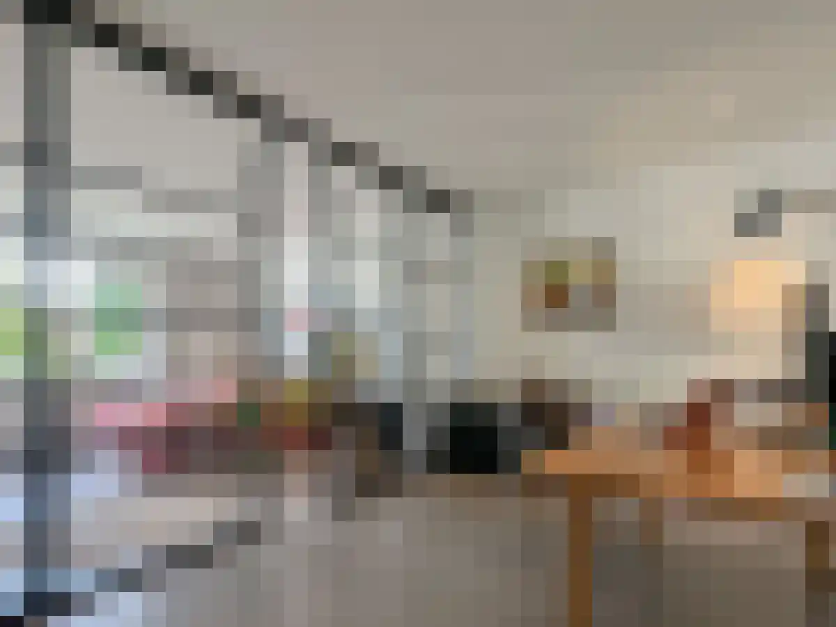 Koningslaan 97 Utrecht thumbnail 6