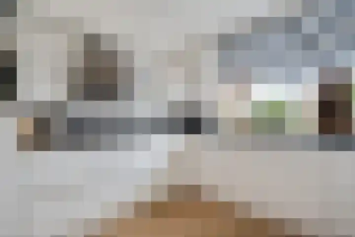 Koningsland 21 Steenwijk thumbnail 15