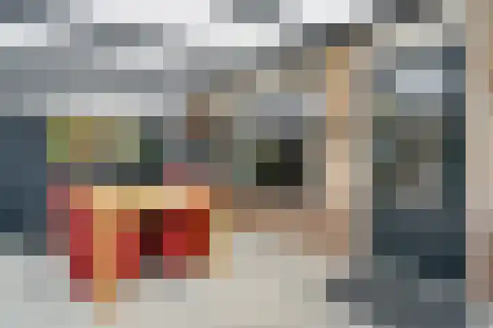 Koningsland 21 Steenwijk thumbnail 28