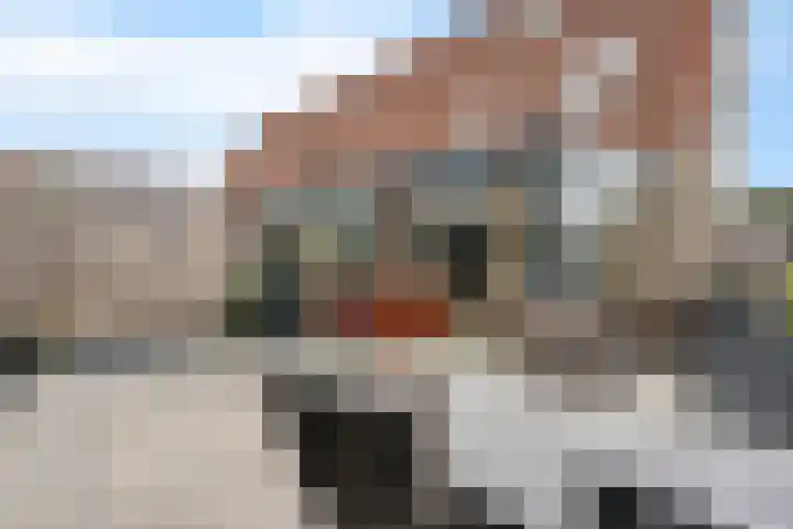 Koningsland 21 Steenwijk thumbnail 31