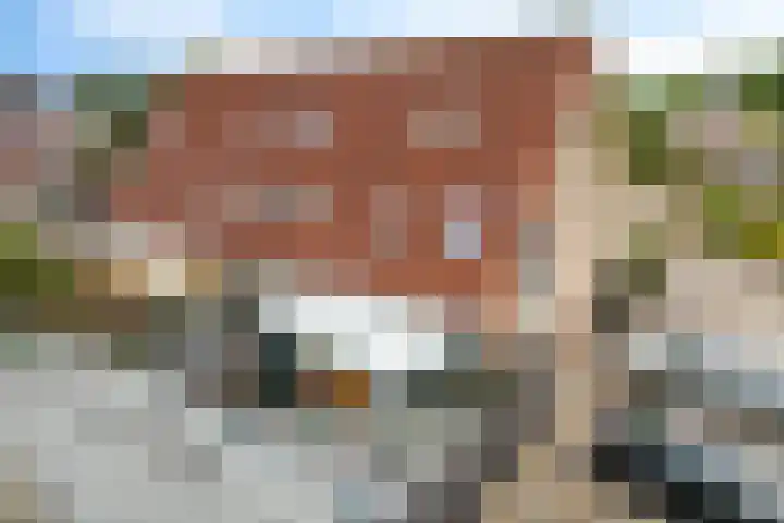 Koningsland 21 Steenwijk thumbnail 34