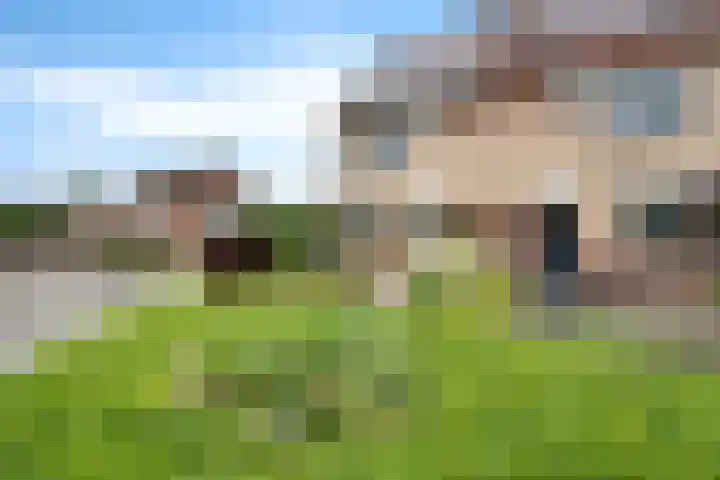 Koningsland 21 Steenwijk thumbnail 4