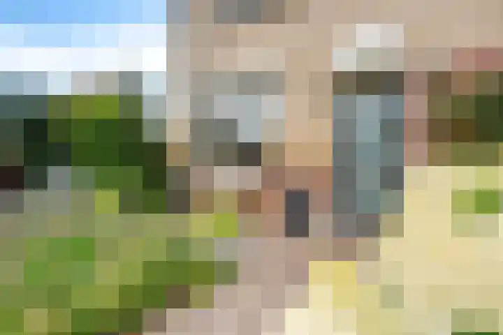 Koningsland 21 Steenwijk thumbnail 5