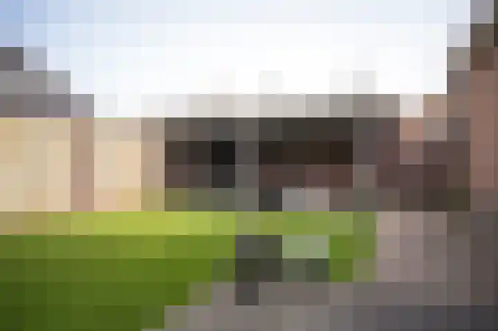 Koningsland 6 Beneden-Leeuwen thumbnail 30