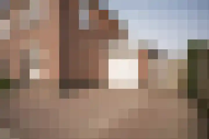 Koningsland 6 Beneden-Leeuwen thumbnail 37