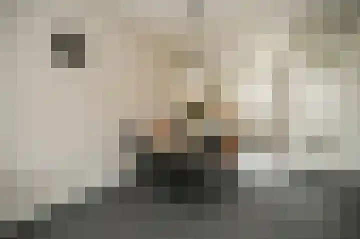 Koningsland 6 Beneden-Leeuwen thumbnail 8