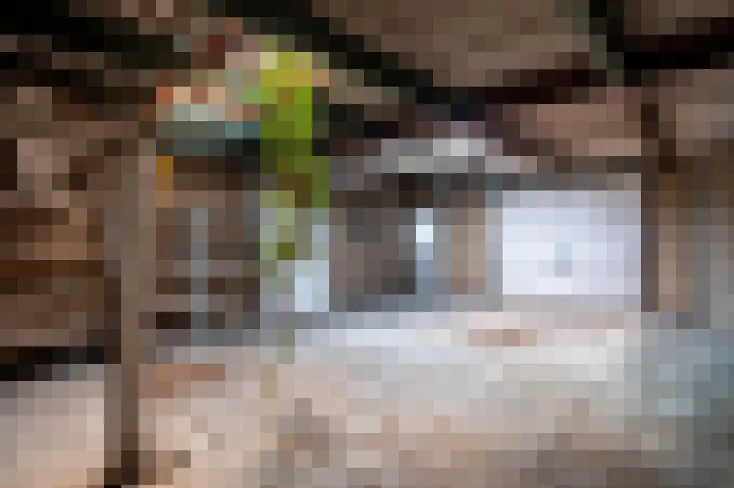 Koningslijn 22 Apeldoorn thumbnail 18