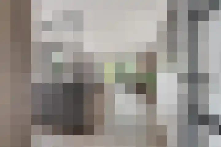 Koningslinde 1 C 02 Zevenaar thumbnail 13