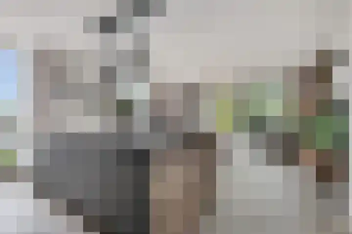 Koningslinde 1 C 02 Zevenaar thumbnail 14