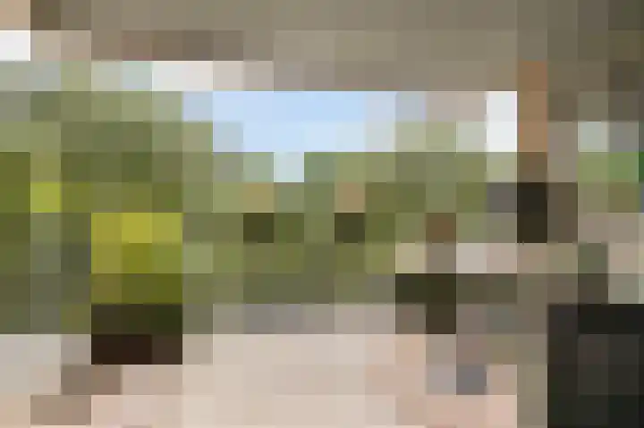 Koningslinde 1 C 02 Zevenaar thumbnail 17