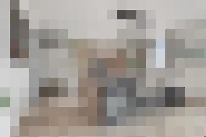 Koningslinde 1 C 02 Zevenaar thumbnail 22