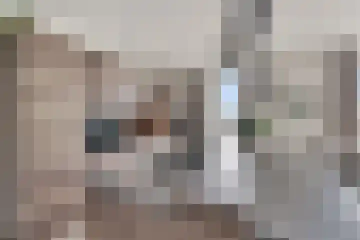 Koningslinde 1 C 02 Zevenaar thumbnail 24