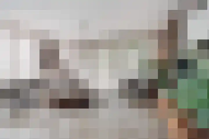 Koningslinde 1 C 02 Zevenaar thumbnail 26