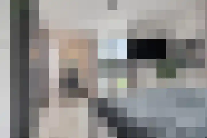 Koningslinde 1 C 02 Zevenaar thumbnail 31