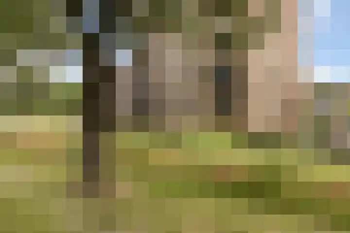 Koningslinde 1 C 02 Zevenaar thumbnail 41