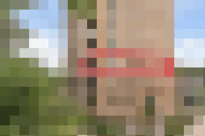 Koningslinde 1 C 02 Zevenaar thumbnail 42
