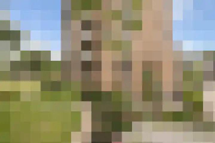 Koningslinde 1 C 02 Zevenaar thumbnail 6