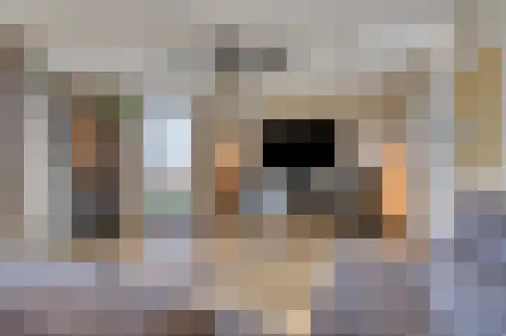 Koningslinde 1 H 01 Zevenaar thumbnail 21