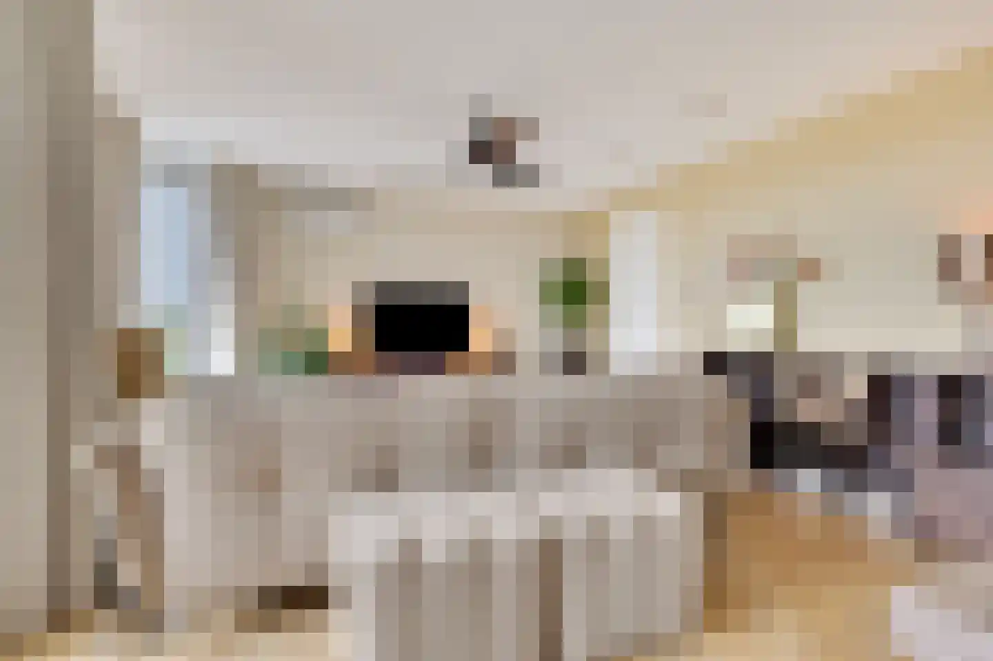 Koningslinde 1 H 01 Zevenaar thumbnail 22
