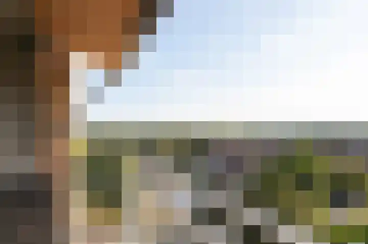 Koningslinde 1 H 01 Zevenaar thumbnail 23