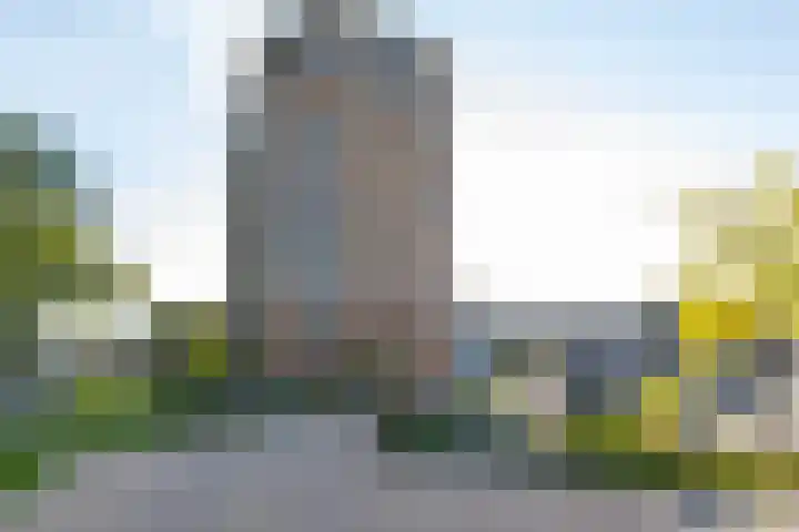 Koningslinde 1 H 01 Zevenaar thumbnail 47