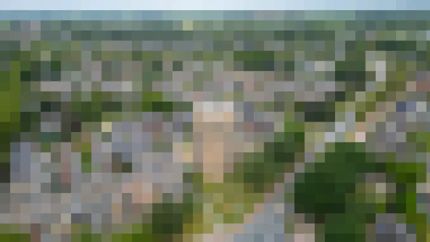 Koningslinde 1 H 01 Zevenaar thumbnail 5