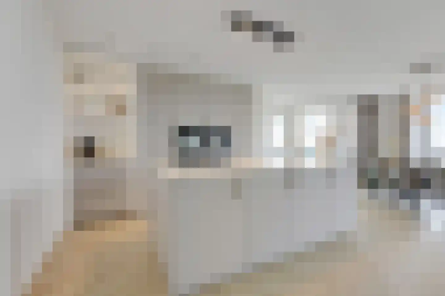 Koningslinde 1 K 01 Zevenaar thumbnail 38
