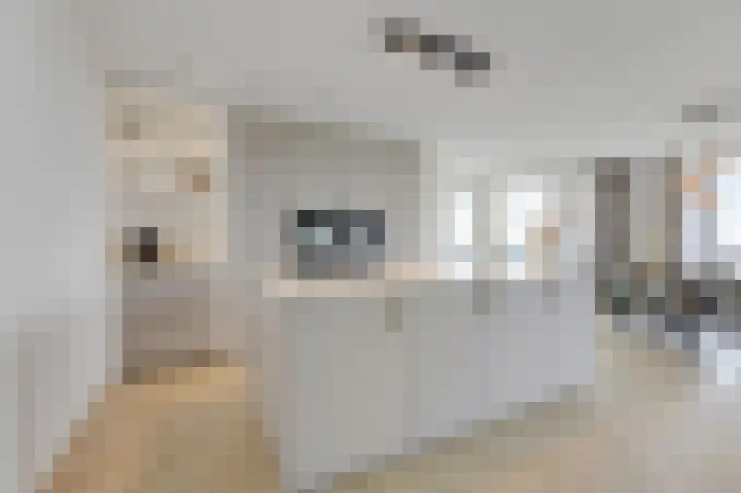 Koningslinde 1 K 01 Zevenaar thumbnail 4