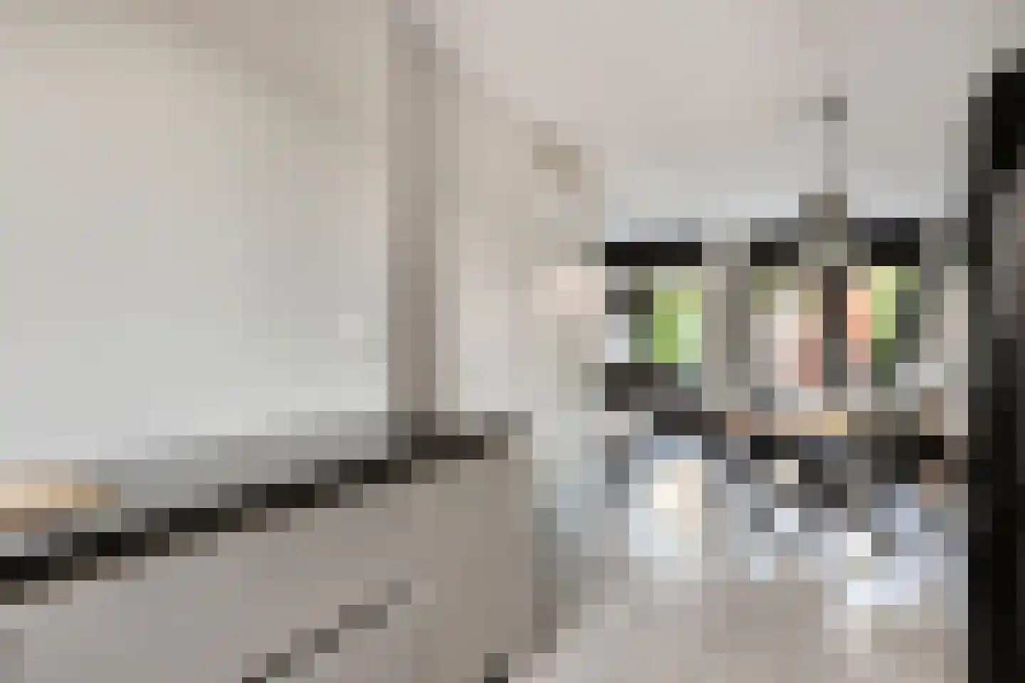 Koningslinde 1 Zevenaar thumbnail 15