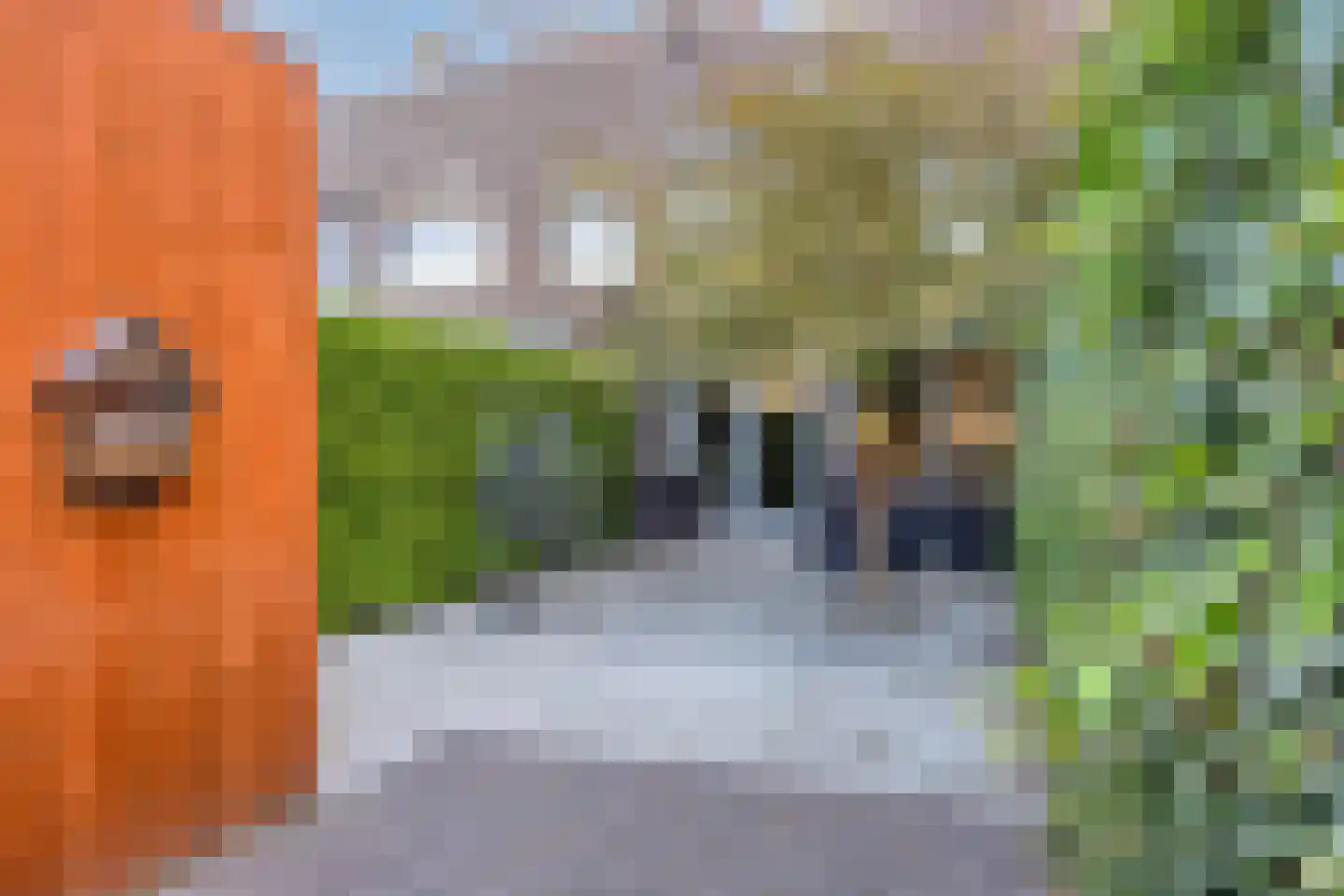 Koningslinde 1 Zevenaar foto 3