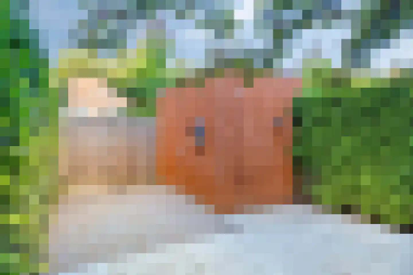 Koningslinde 1 Zevenaar thumbnail 33