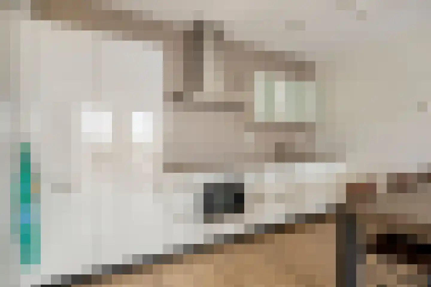 Koningsloper 155 Oss thumbnail 10
