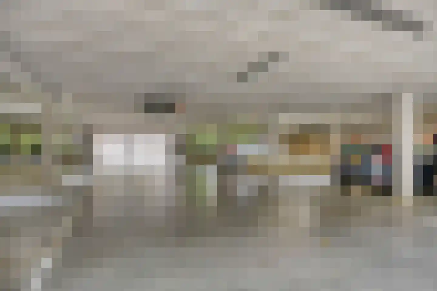 Koningsloper 155 Oss thumbnail 23