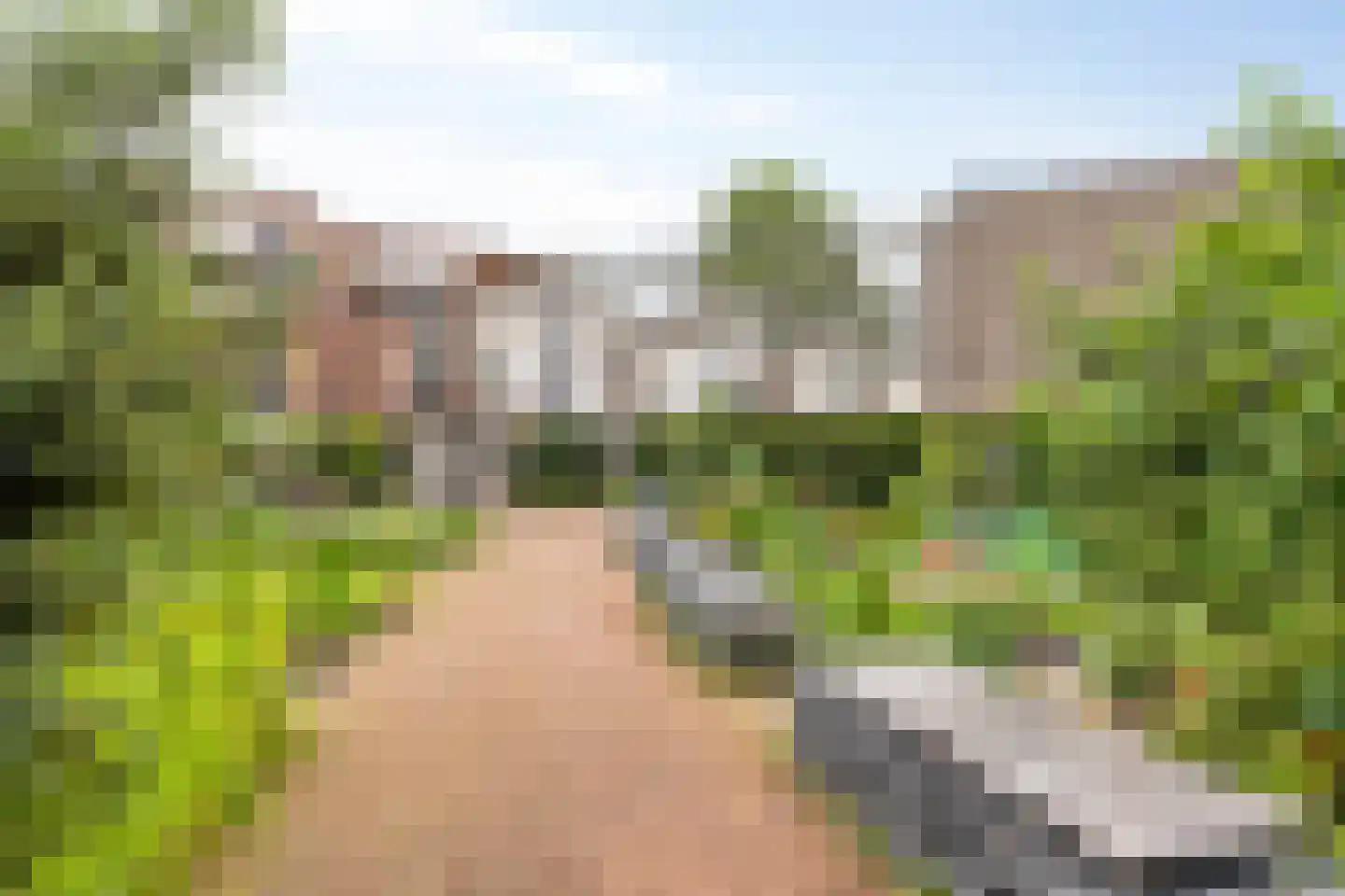 Koningsloper 155 Oss thumbnail 28