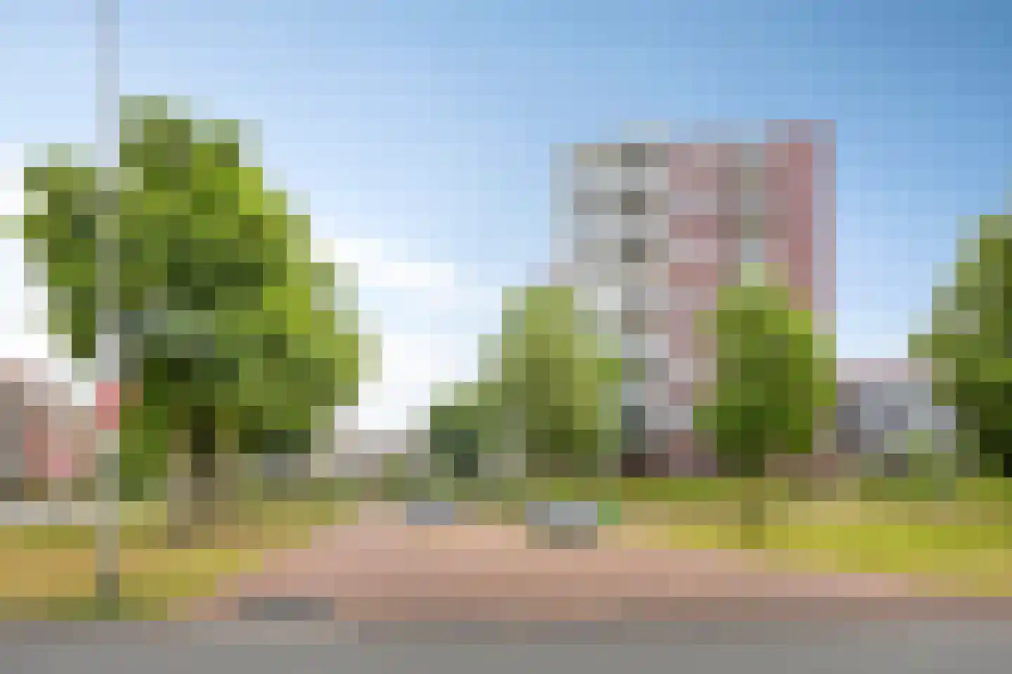 Koningsloper 155 Oss thumbnail 29