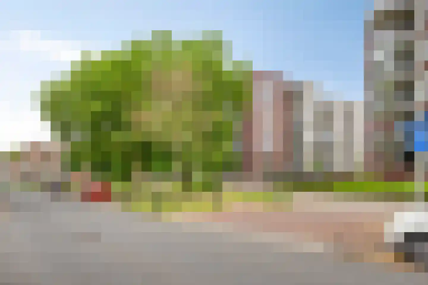 Koningsloper 155 Oss thumbnail 30
