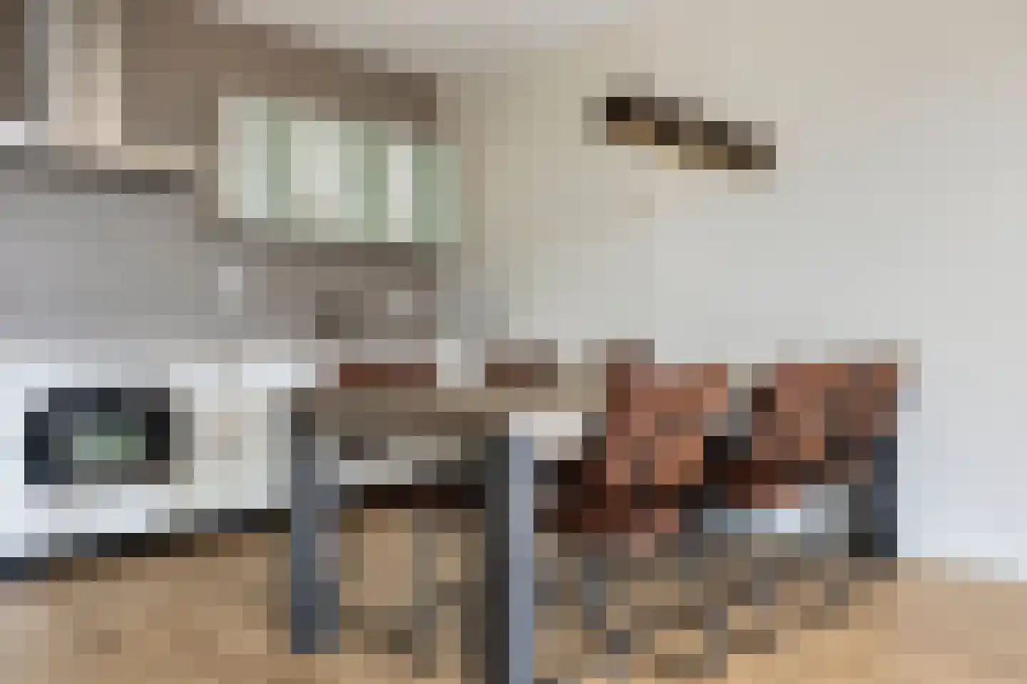 Koningsloper 155 Oss thumbnail 4