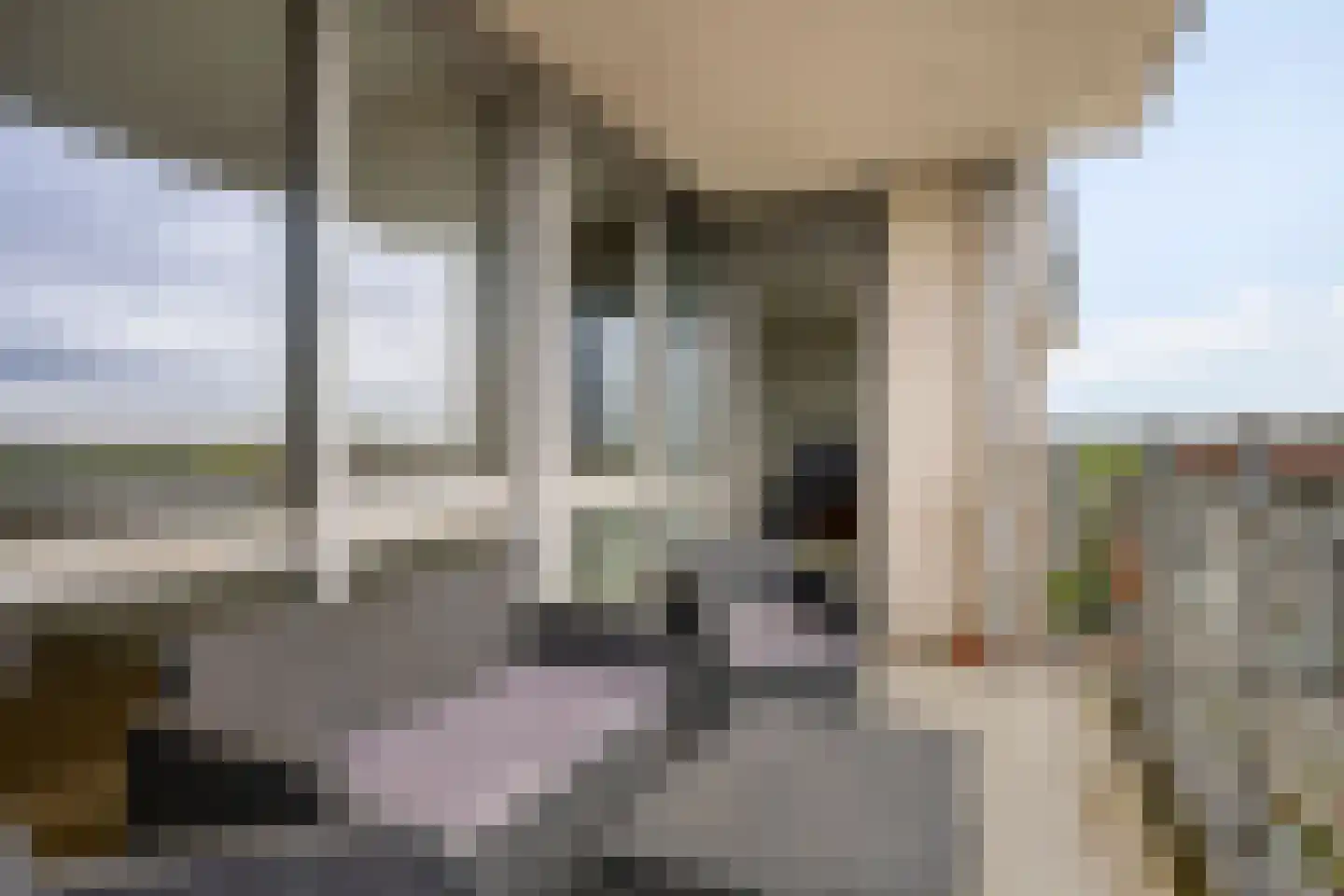 Koningsloper 155 Oss thumbnail 8