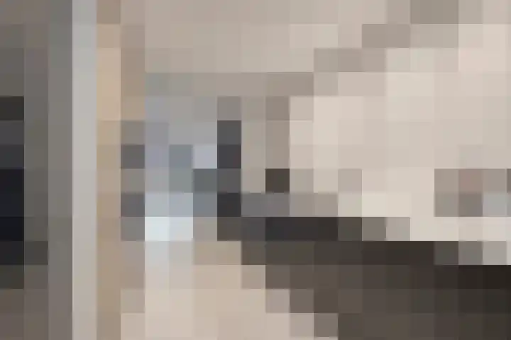 Koningsloper 20 Oss thumbnail 12