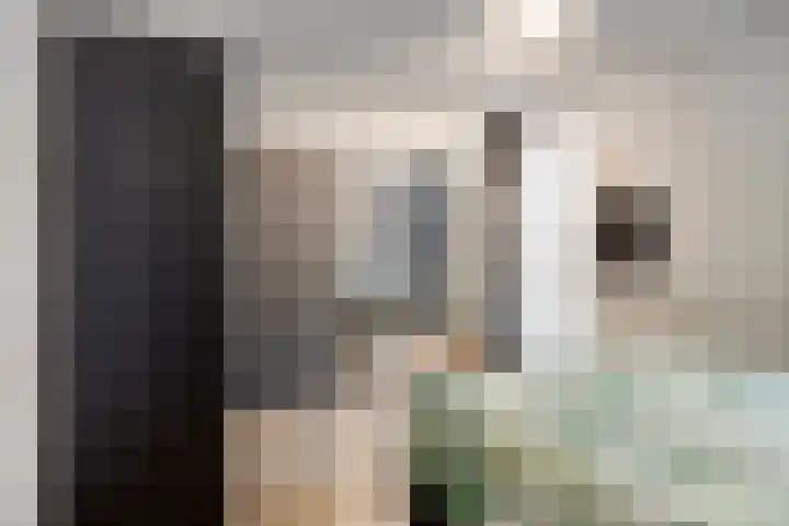 Koningsloper 20 Oss thumbnail 16