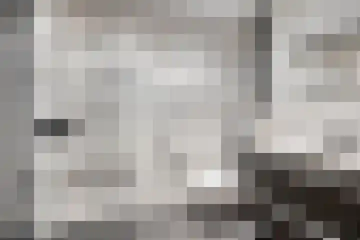 Koningsloper 20 Oss thumbnail 19
