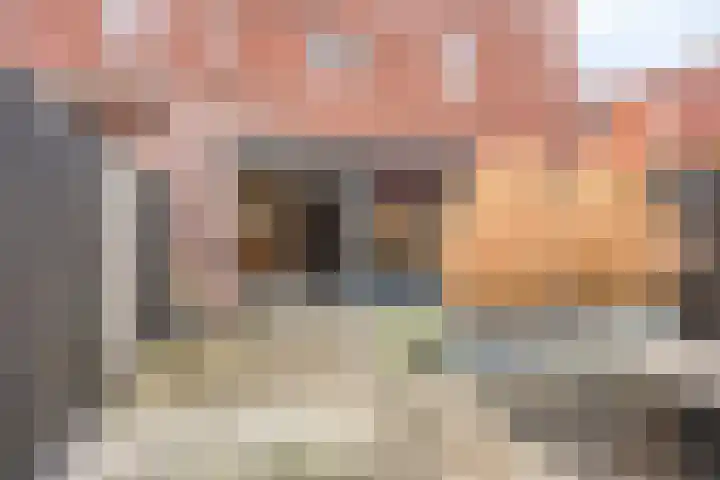Koningsloper 20 Oss thumbnail 25