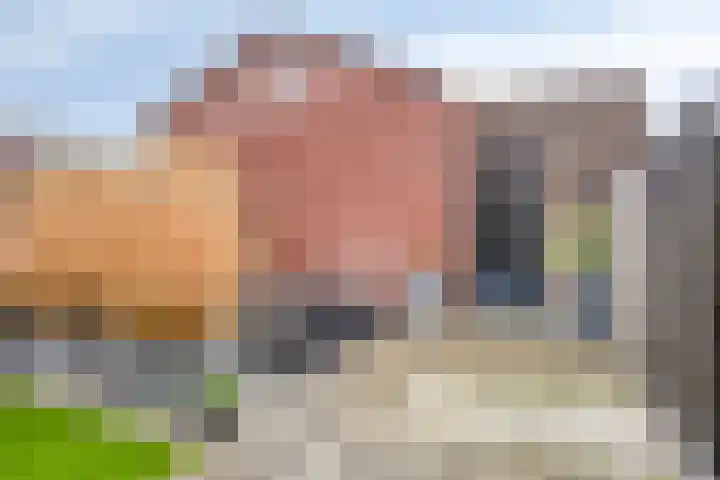 Koningsloper 20 Oss thumbnail 26