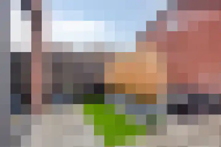 Koningsloper 20 Oss thumbnail 27